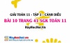 Giải bài 10 trang 41 Toán 11 tập 1 SGK Cánh Diều